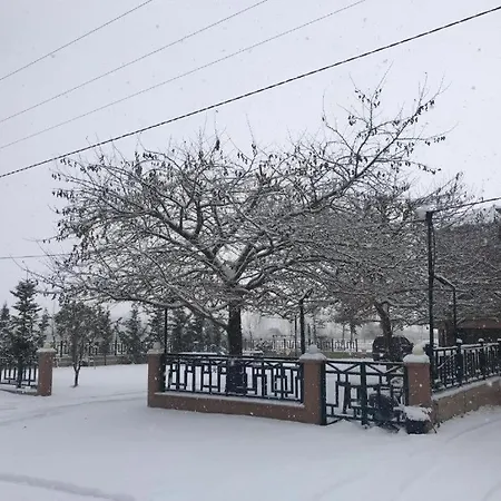 View Dea Pogradec